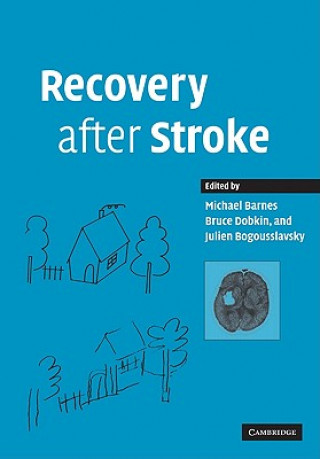 Könyv Recovery after Stroke Michael P. Barnes