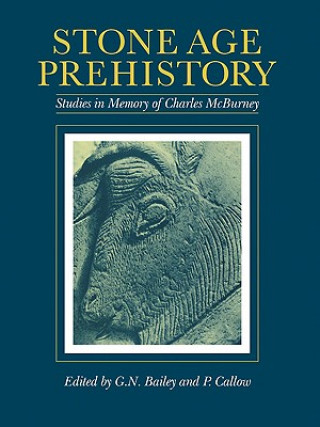 Könyv Stone Age Prehistory G.N. Bailey