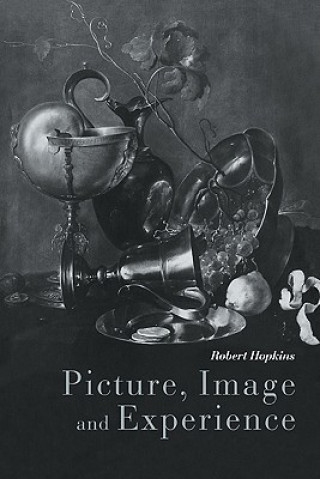 Buch Picture, Image and Experience Robert Hopkins