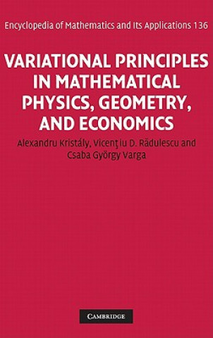 Kniha Variational Principles in Mathematical Physics, Geometry, and Economics Alexandru Kristaly