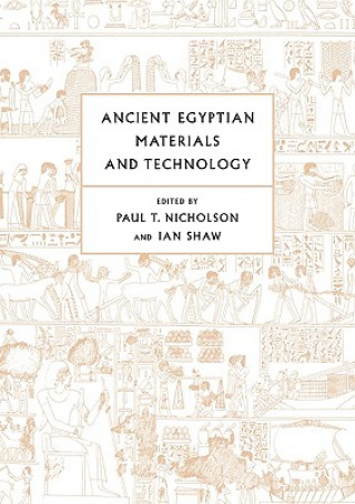 Kniha Ancient Egyptian Materials and Technology Paul T. Nicholson