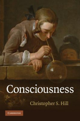 Kniha Consciousness Christopher S Hill