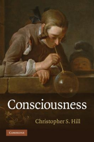 Buch Consciousness Christopher S Hill