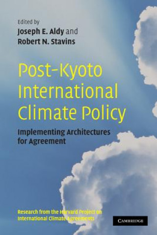 Knjiga Post-Kyoto International Climate Policy Joseph E Aldy