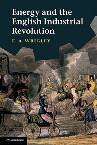 Könyv Energy and the English Industrial Revolution E A Wrigley