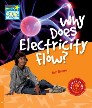 Livro Why Does Electricity Flow? Level 6 Factbook Rob Moore