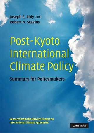 Knjiga Post-Kyoto International Climate Policy Joseph E. Aldy