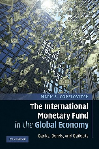 Kniha International Monetary Fund in the Global Economy Mark S Copelovitch