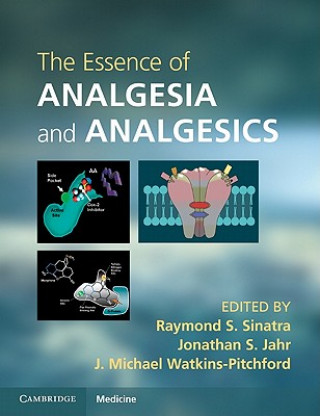 Könyv Essence of Analgesia and Analgesics Raymond S Sinatra