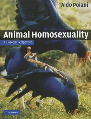 Książka Animal Homosexuality Aldo Poiani