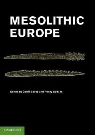 Книга Mesolithic Europe Geoff Bailey