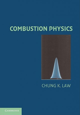 Knjiga Combustion Physics Chung K Law