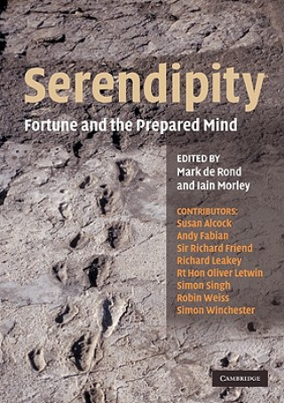 Könyv Serendipity Iain Morley