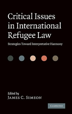 Kniha Critical Issues in International Refugee Law James C Simeon