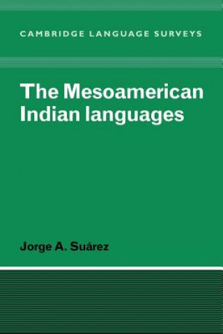 Kniha Mesoamerican Indian Languages Jorge A. Suarez