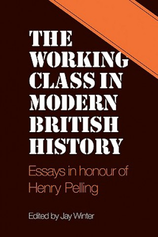 Kniha Working Class in Modern British History Jay Winter