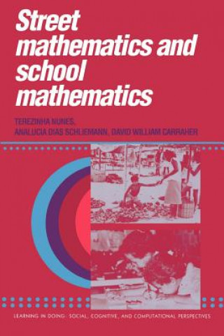 Kniha Street Mathematics and School Mathematics SCHLIEMANN NUNES/CARRAHER