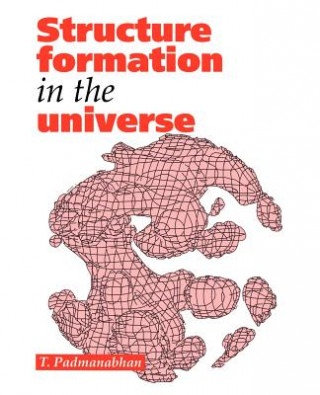Könyv Structure Formation in the Universe T. Padmanabhan