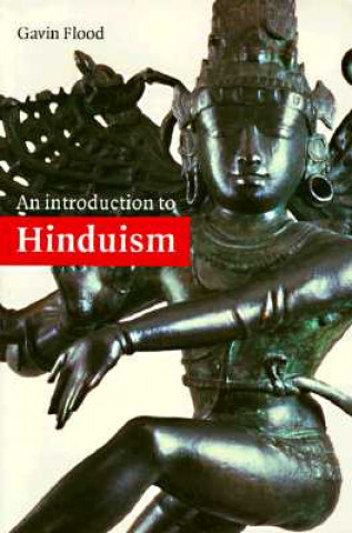 Carte Introduction to Hinduism Gavin Flood