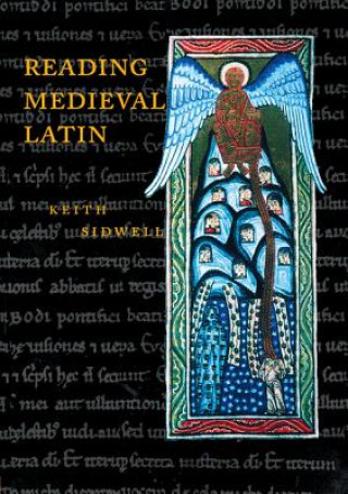 Book Reading Medieval Latin Keith (University College Cork) Sidwell