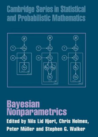 Könyv Bayesian Nonparametrics Nils Lid Hjort