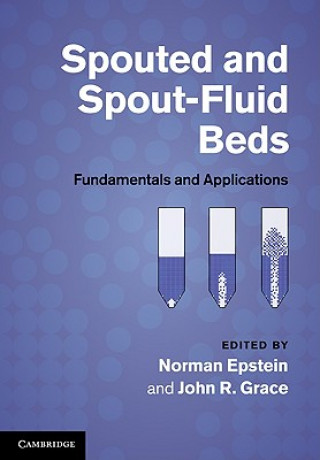 Kniha Spouted and Spout-Fluid Beds Norman Epstein