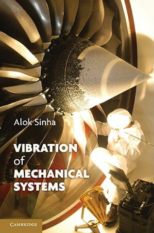 Könyv Vibration of Mechanical Systems Alok Sinha