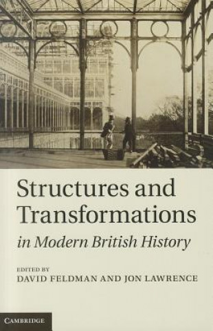 Knjiga Structures and Transformations in Modern British History David Feldman