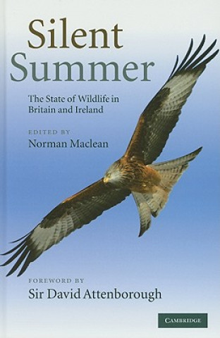 Kniha Silent Summer Norman Maclean