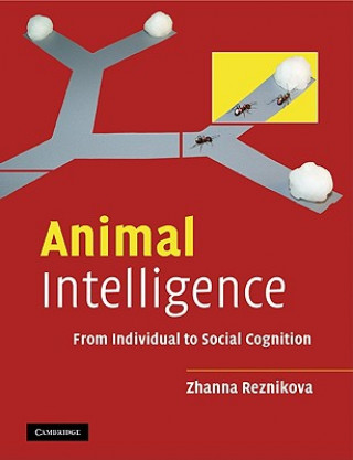 Könyv Animal Intelligence Zhanna Reznikova