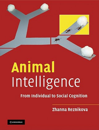 Libro Animal Intelligence Zhanna Reznikova