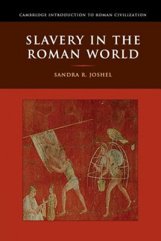 Kniha Slavery in the Roman World Sandra R Joshel