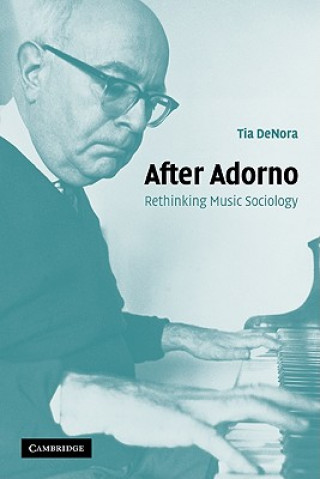 Könyv After Adorno Professor Tia DeNora