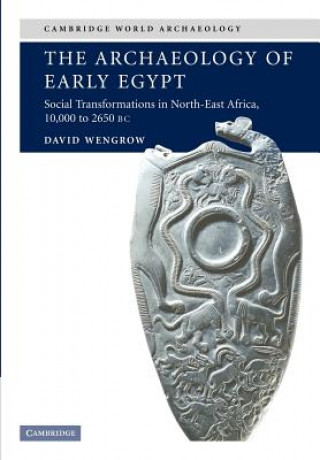 Kniha Archaeology of Early Egypt David Wengrow