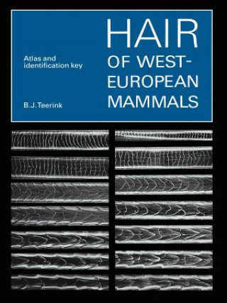 Książka Hair of West European Mammals B. J Teerink