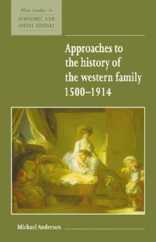 Buch Approaches to the History of the Western Family 1500-1914 Michael Anderson