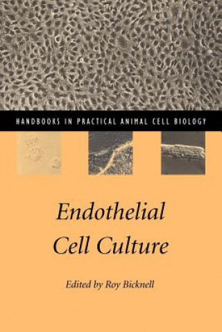 Libro Endothelial Cell Culture Roy Bicknell