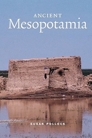 Könyv Ancient Mesopotamia Susan Pollock