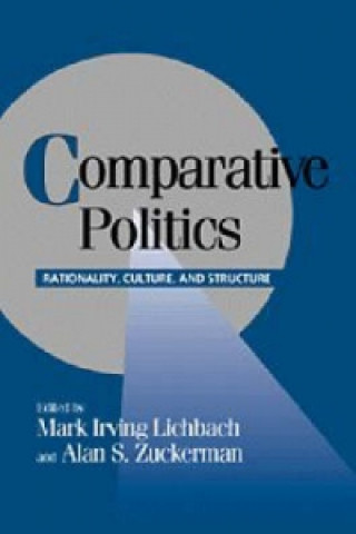 Kniha Comparative Politics Mark Irving Lichbach