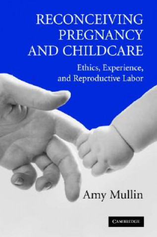 Book Reconceiving Pregnancy and Childcare Amy Mullin