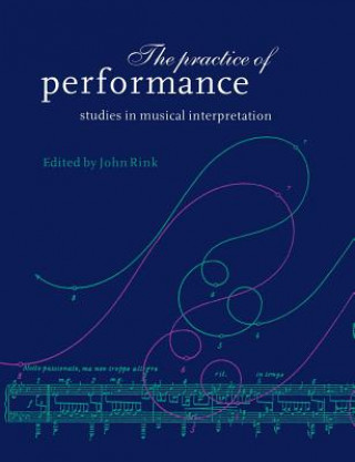 Книга Practice of Performance John Rink