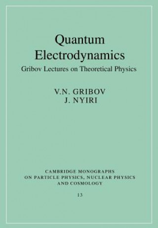 Könyv Quantum Electrodynamics V.N. Gribov