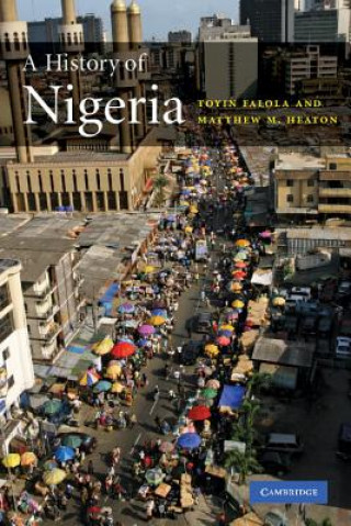 Kniha History of Nigeria Toyin Falola