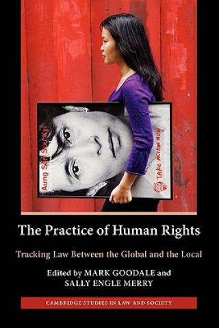 Kniha Practice of Human Rights Mark Goodale