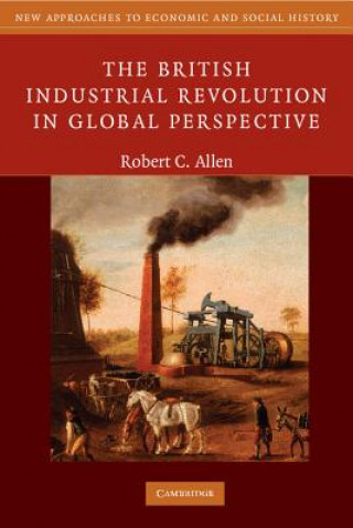 Kniha British Industrial Revolution in Global Perspective Robert C Allen