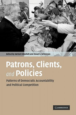 Kniha Patrons, Clients and Policies Herbert Kitschelt