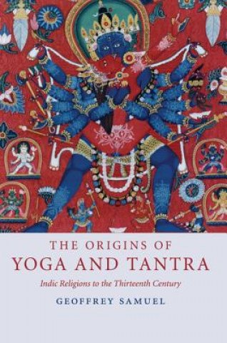 Kniha Origins of Yoga and Tantra Geoffrey Samuel