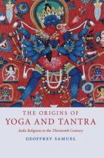 Carte Origins of Yoga and Tantra Geoffrey Samuel