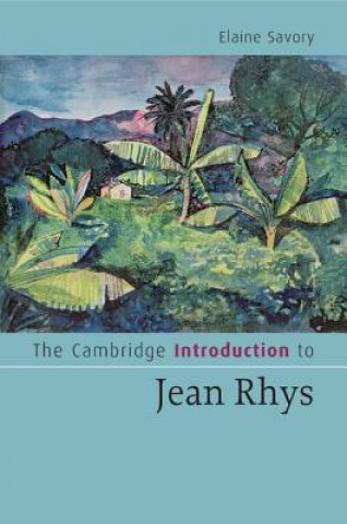 Könyv Cambridge Introduction to Jean Rhys Elaine Savory