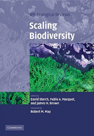 Könyv Scaling Biodiversity David Storch